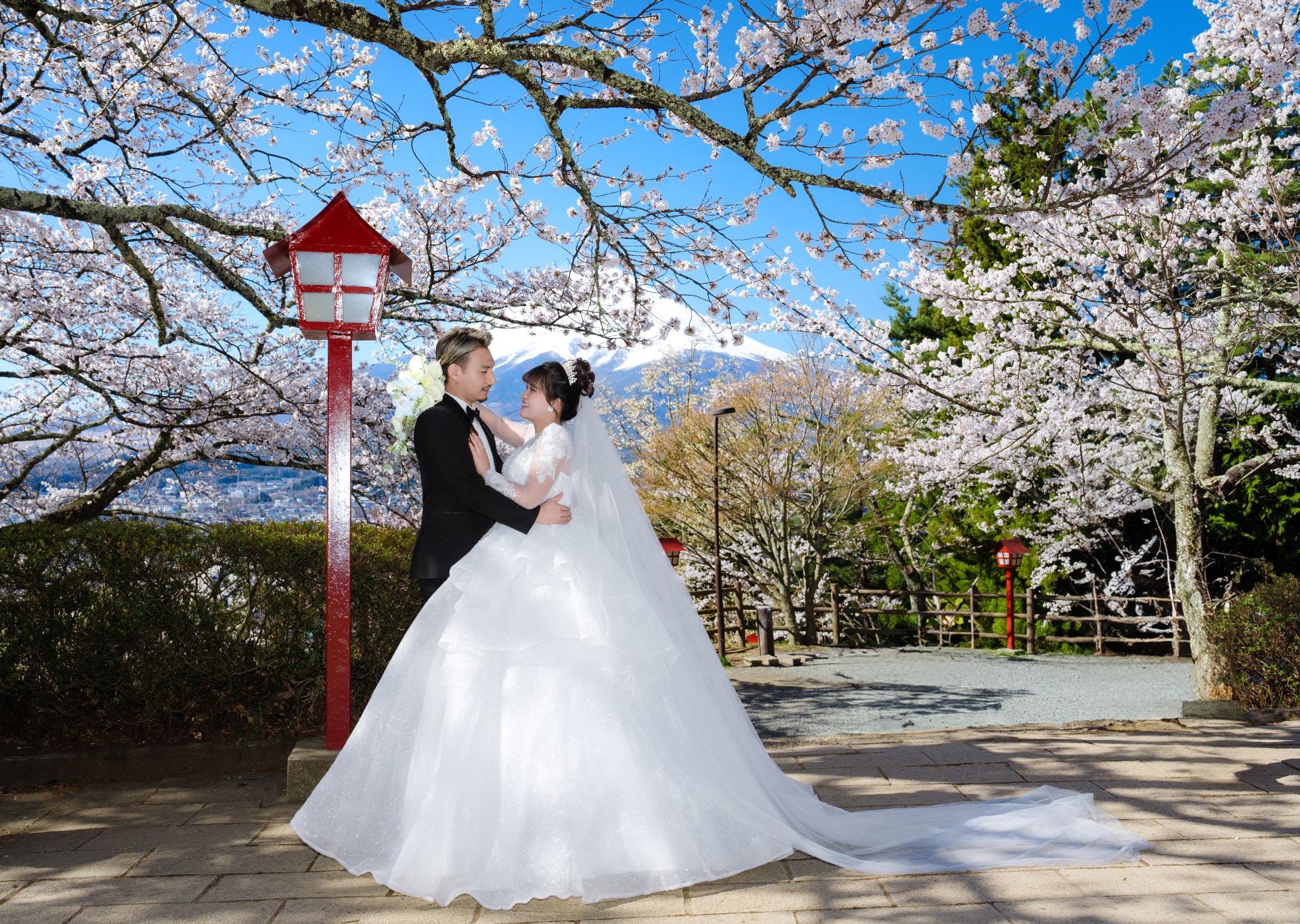 FJ-15 富士山の桜