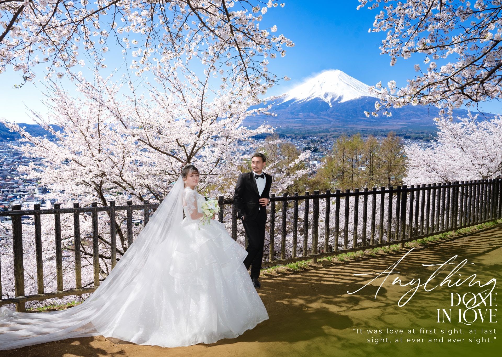 UNMEI Studio Tokyo – 富士山の桜 の撮影写真