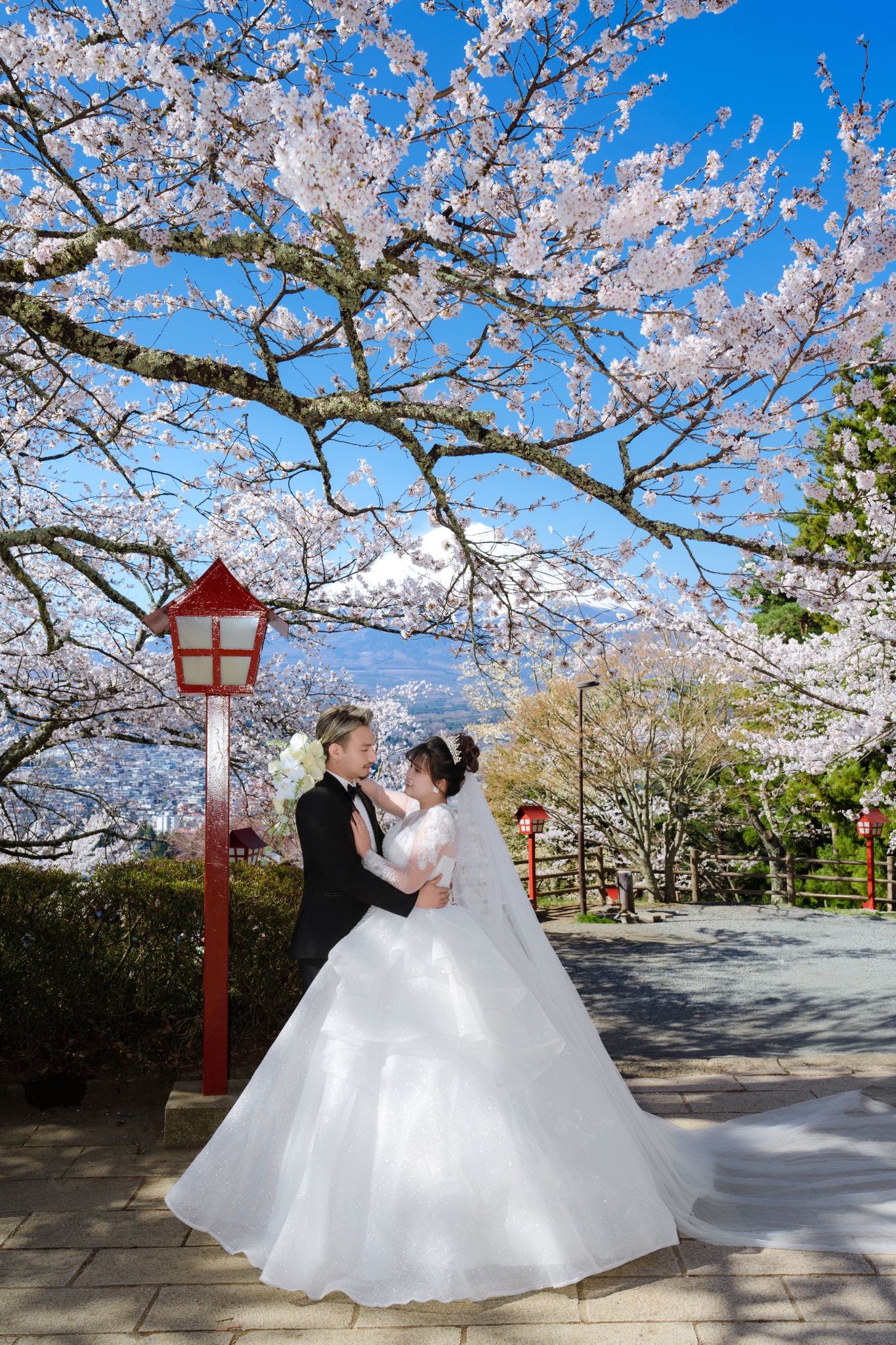 UNMEI Studio Tokyo – 富士山の桜 の撮影写真