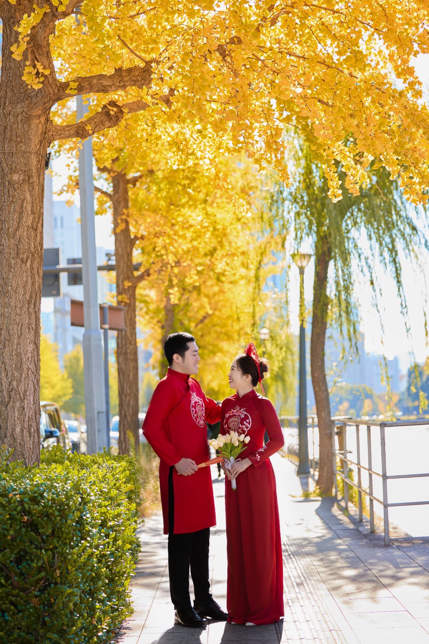 UNMEI Studio Tokyo – 東京の銀杏並木 の撮影写真