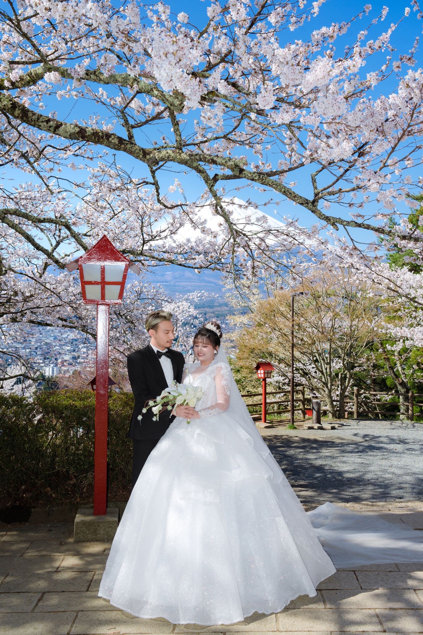 UNMEI Studio Tokyo – 富士山の桜 の撮影写真