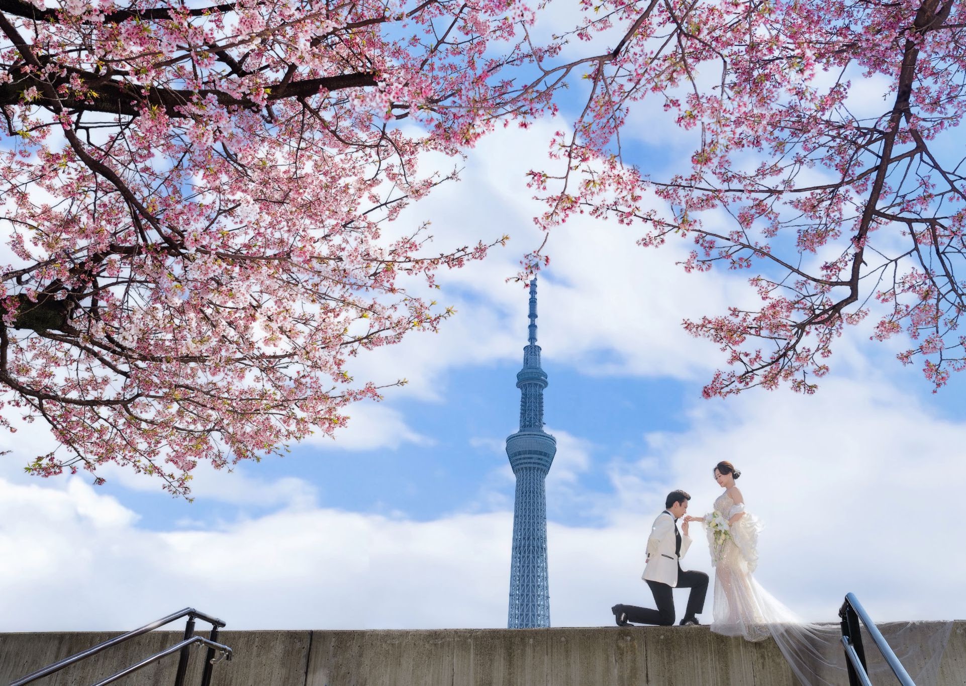 UNMEI Studio Tokyo – スカイツリーの川辺 の撮影写真