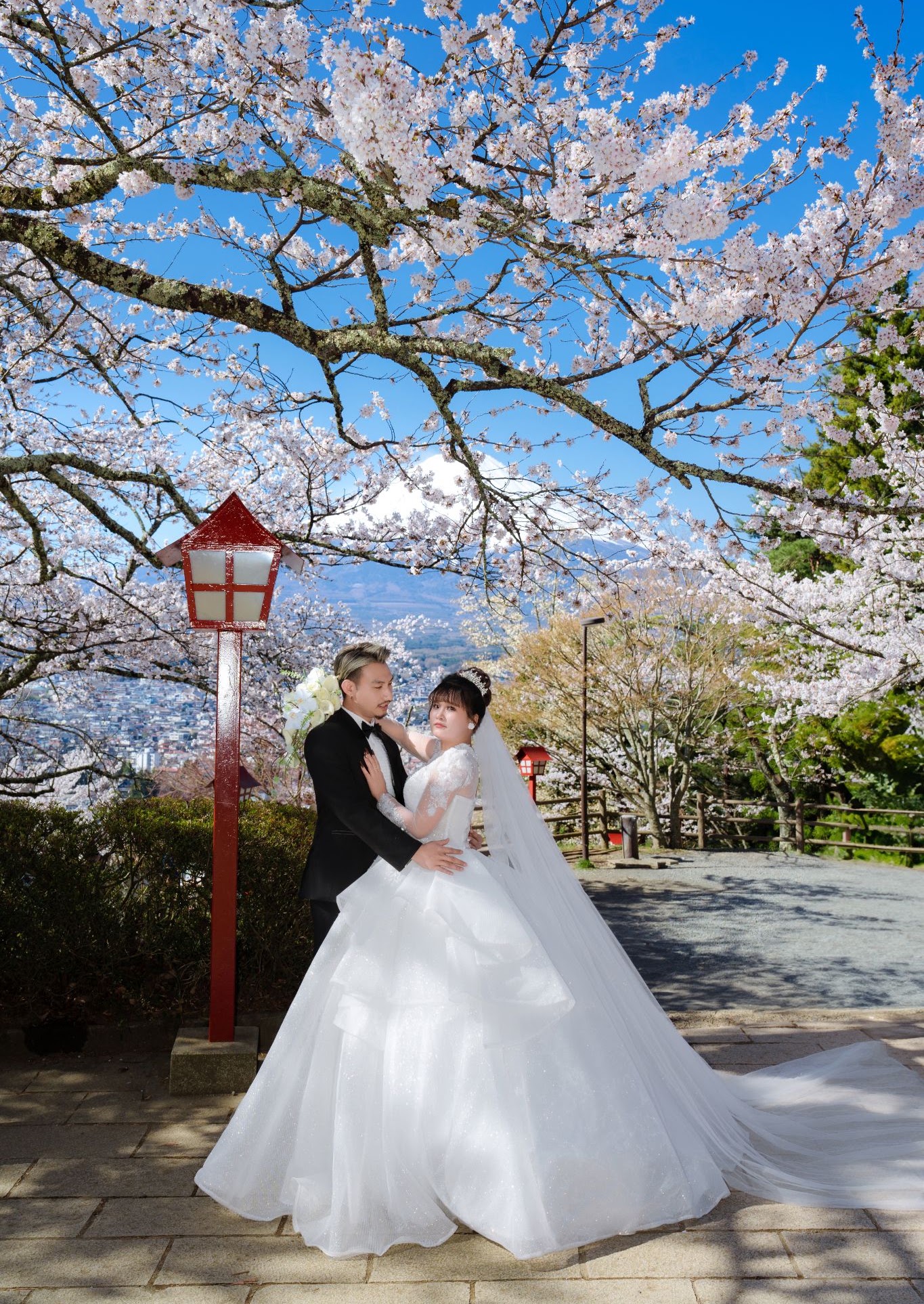UNMEI Studio Tokyo – 富士山の桜 の撮影写真