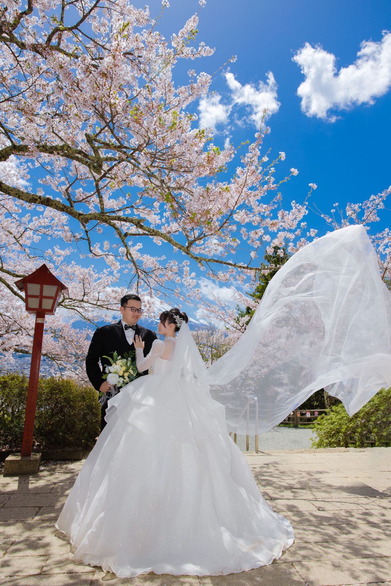 UNMEI Studio Tokyo – 富士山コレクション の撮影写真