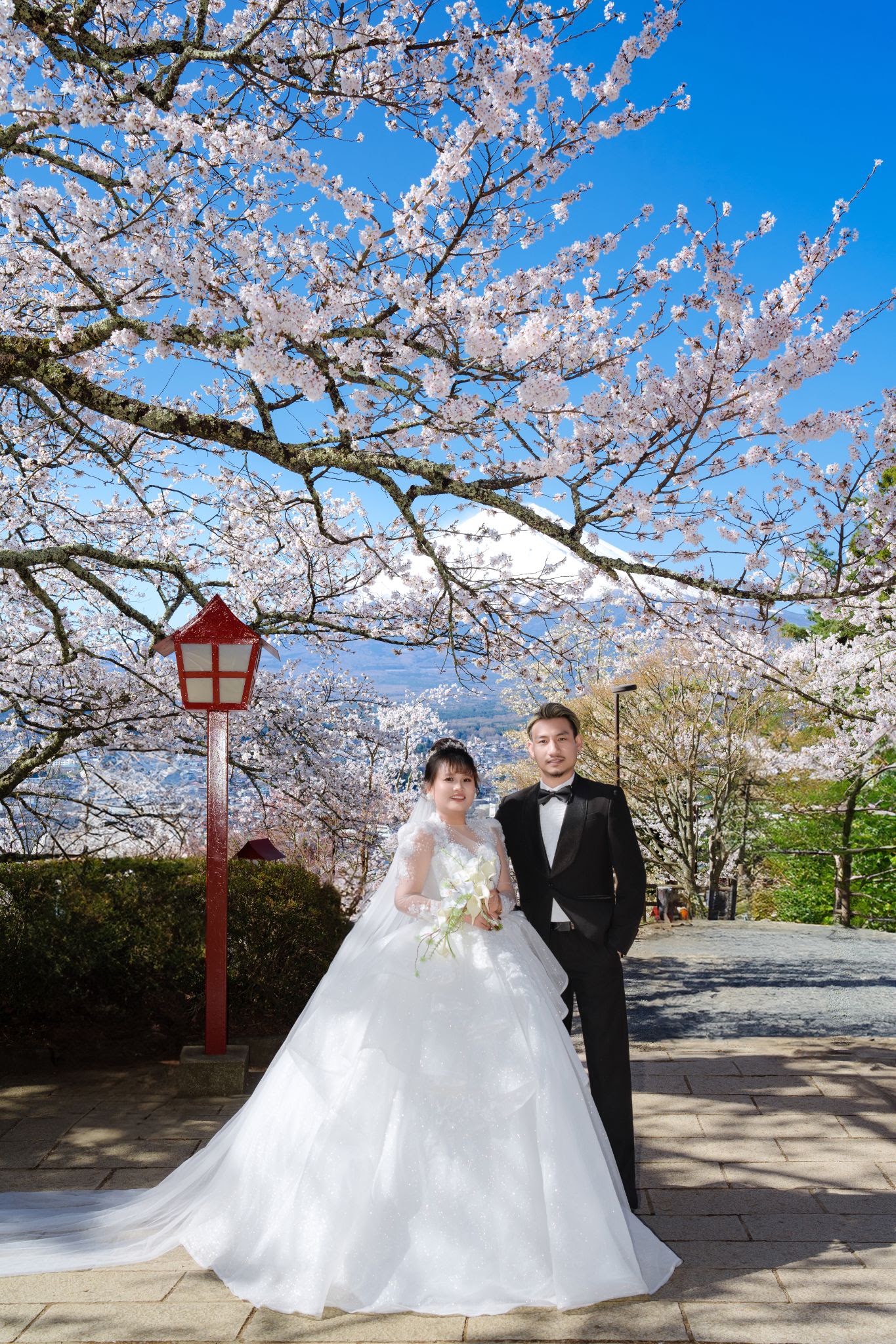 UNMEI Studio Tokyo – 富士山の桜 の撮影写真