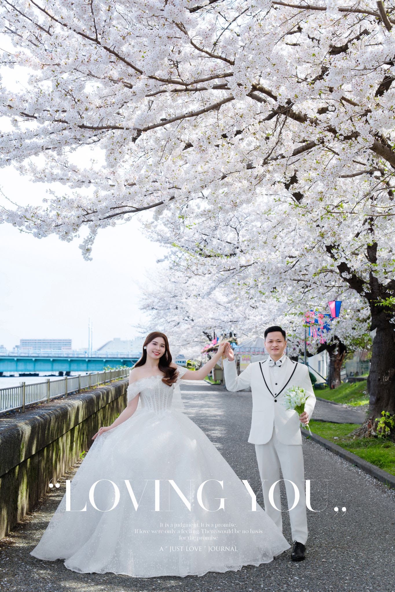 TK-24 水辺の桜