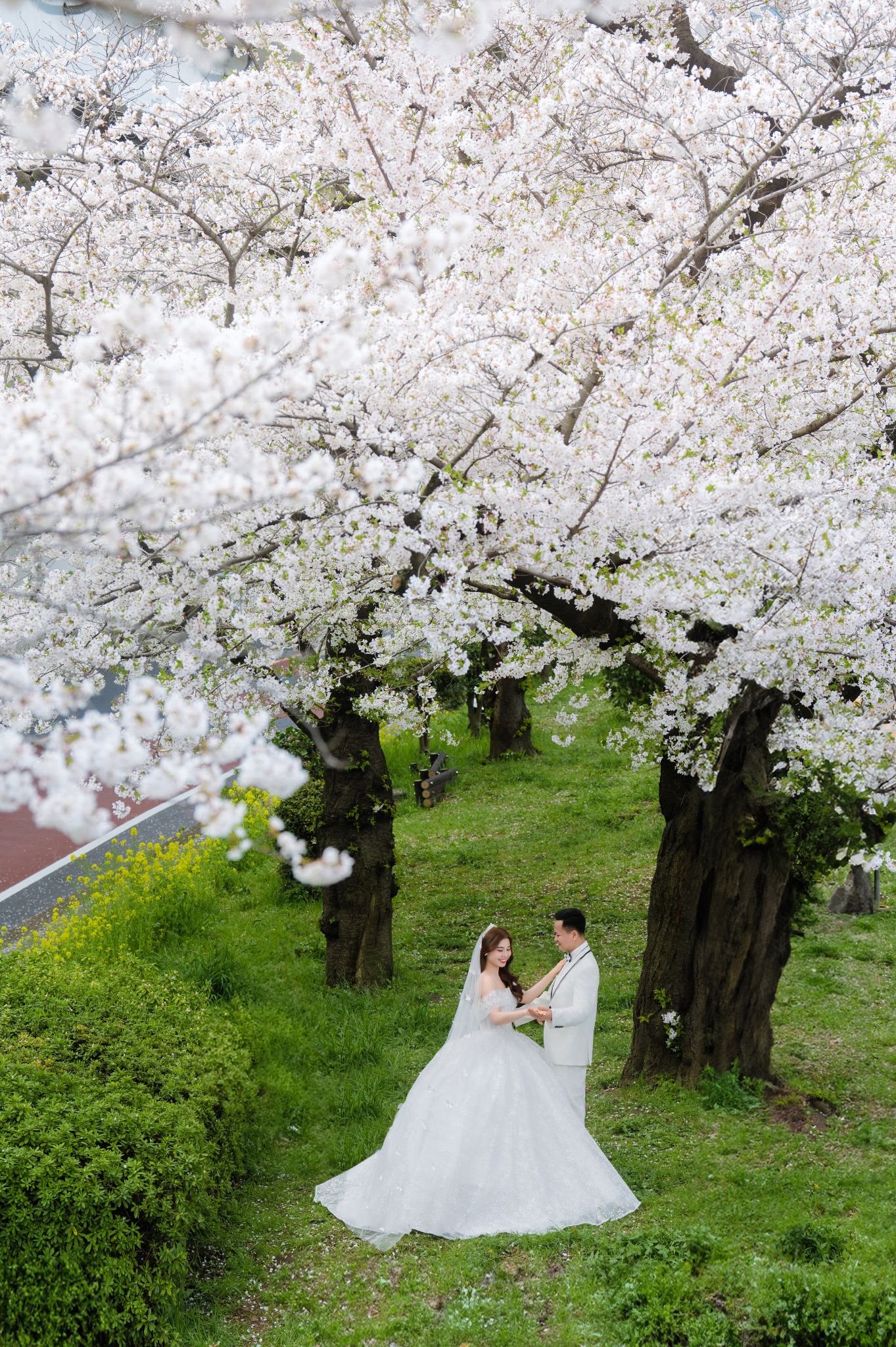 UNMEI Studio Tokyo – スカイツリーと桜 の撮影写真