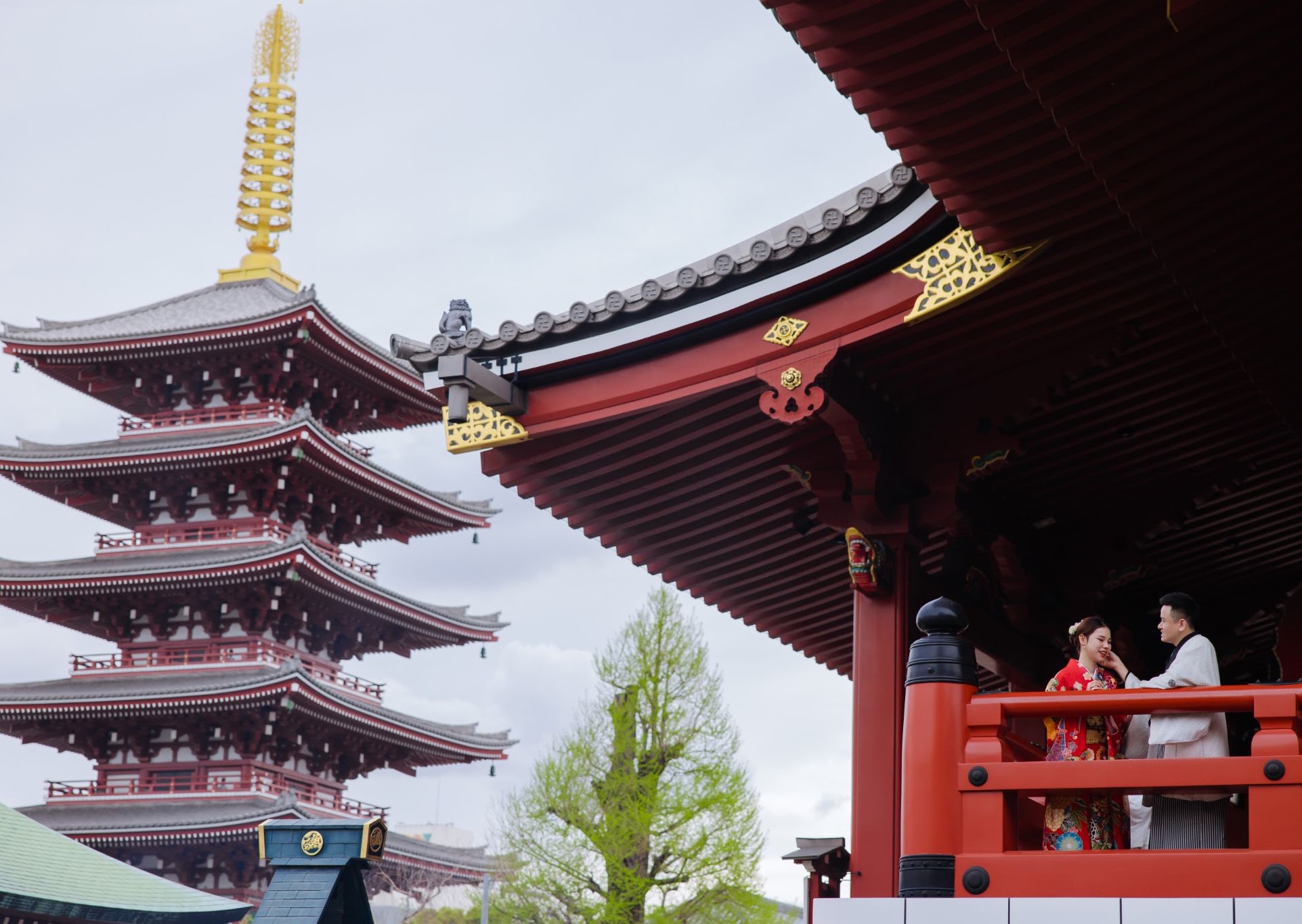 UNMEI Studio Tokyo – 桜スペシャル の撮影写真