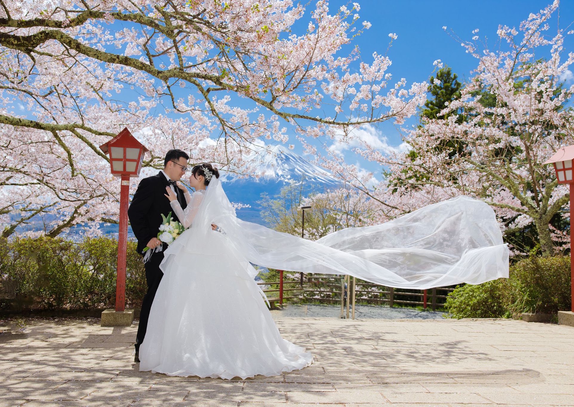 UNMEI Studio Tokyo – 富士山コレクション の撮影写真