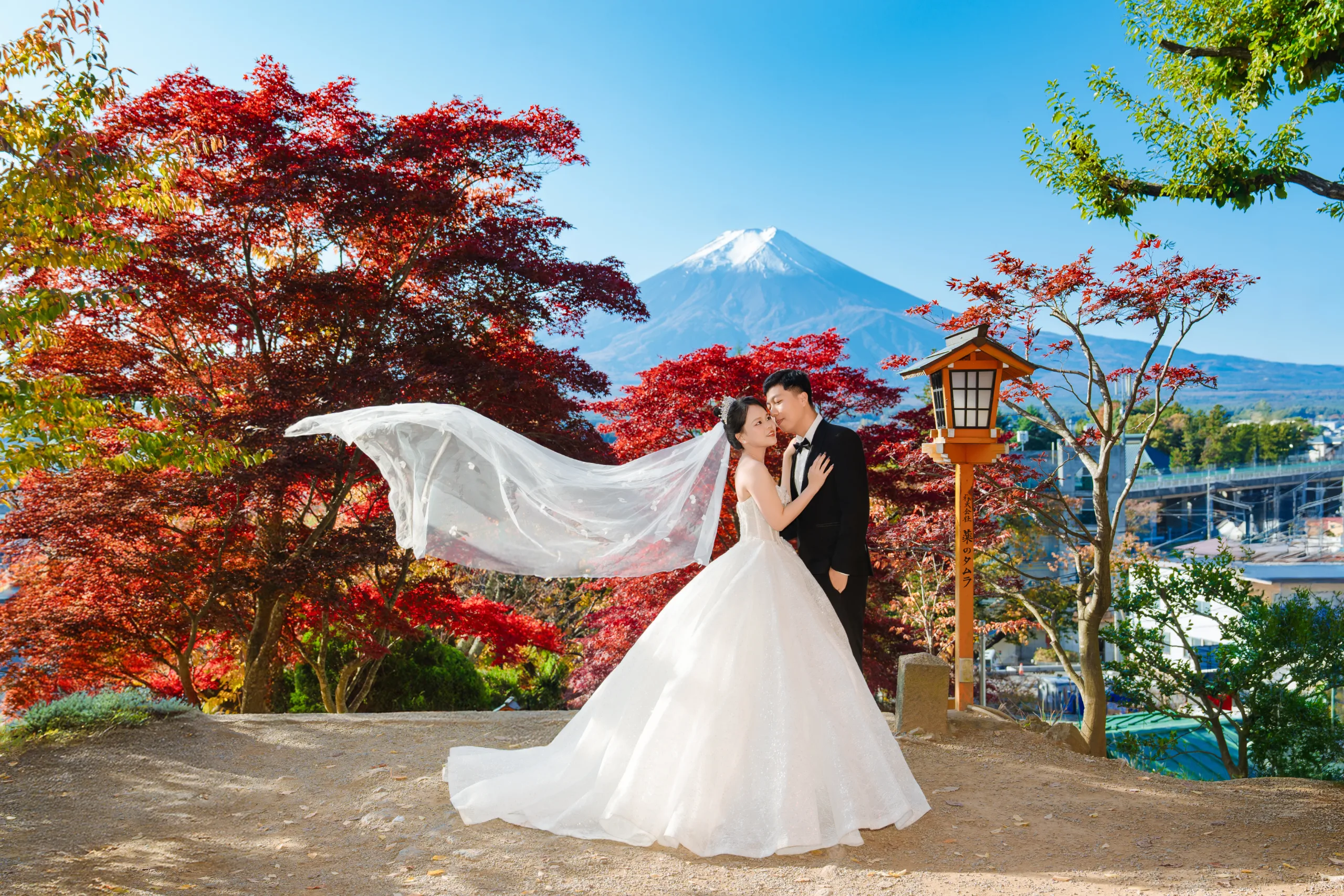 FJ-01 MÙA THU KAWAGUCHIKO-CHUREITO-BÃI CỎ XANH