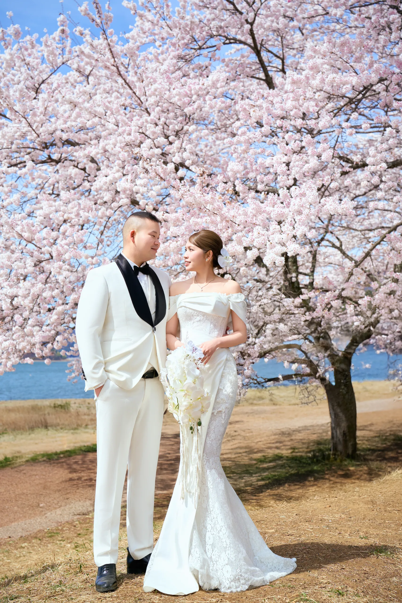 FJ-14 Sakura Dưới Chân Phú Sĩ