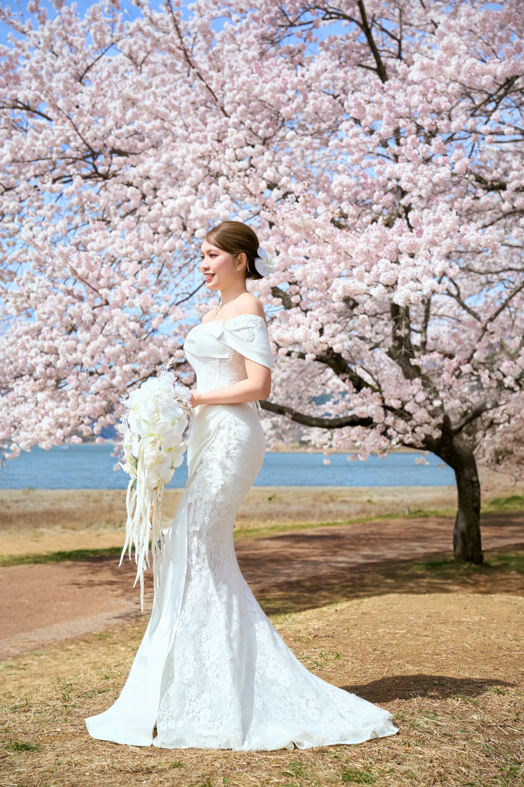 FJ-14 Sakura Dưới Chân Phú Sĩ